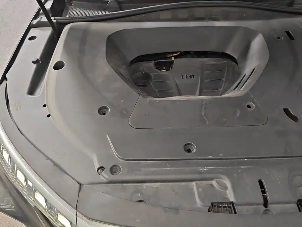 Roewe RX5 MAX 2022 2022 1.5T Auto Promising Premium Edition