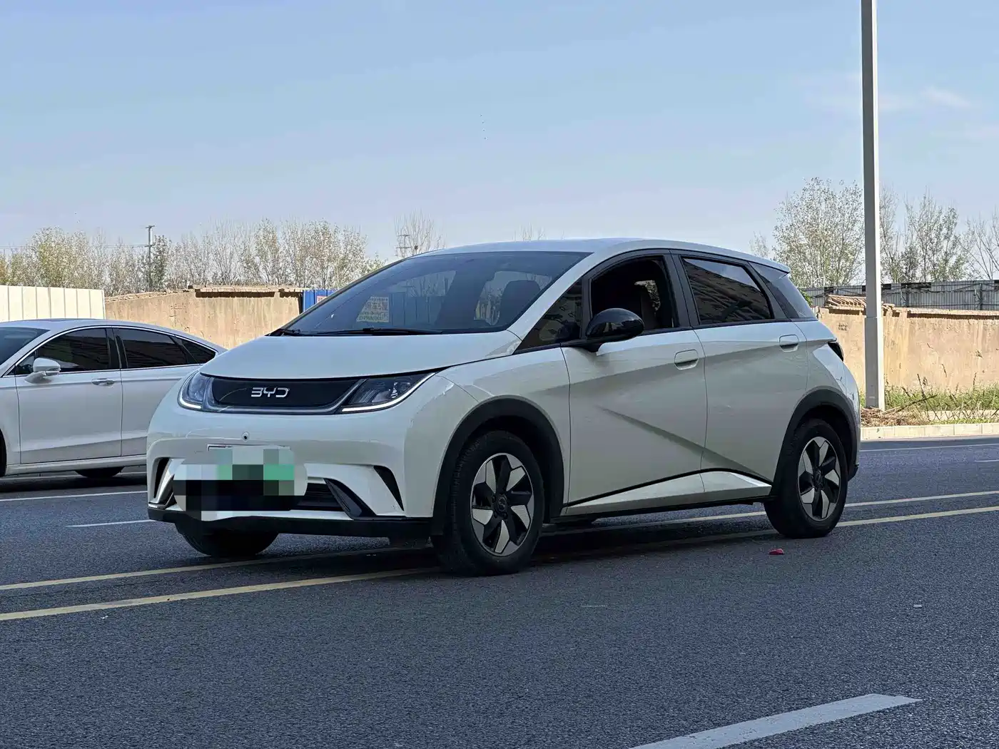 2026 BYD Dolphin