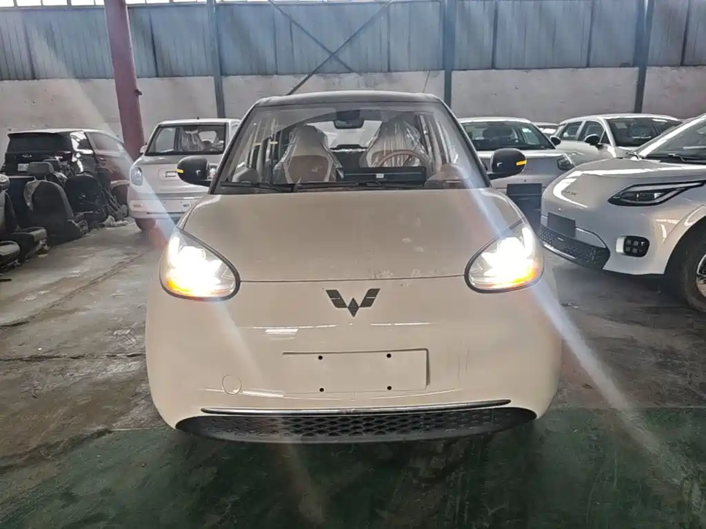 Wuling Motors Wuling Bingo 2026 2025 Model 333km Joy Edition
