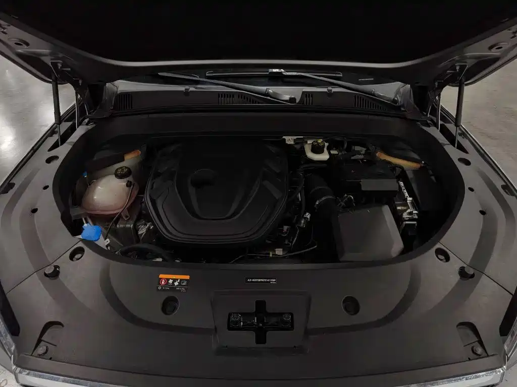 Фото 6 - Geely Monjaro