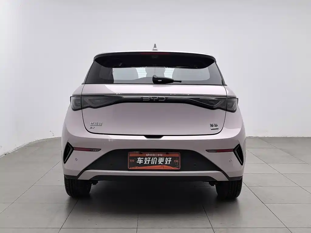 Фото 4 - BYD Dolphin
