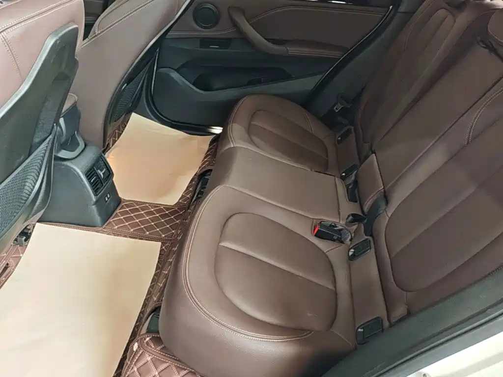 BMW X1 New Energy 2021 2020 xDrive30Le Premium Edition