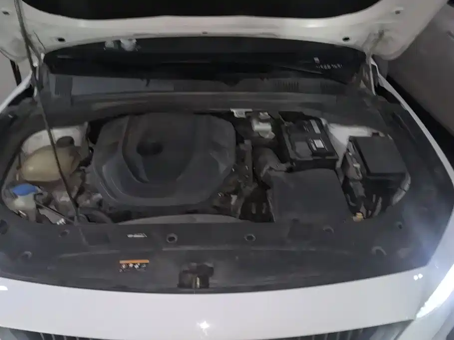 Geely Xing Rui 2021 2021 2.0TD Luxury