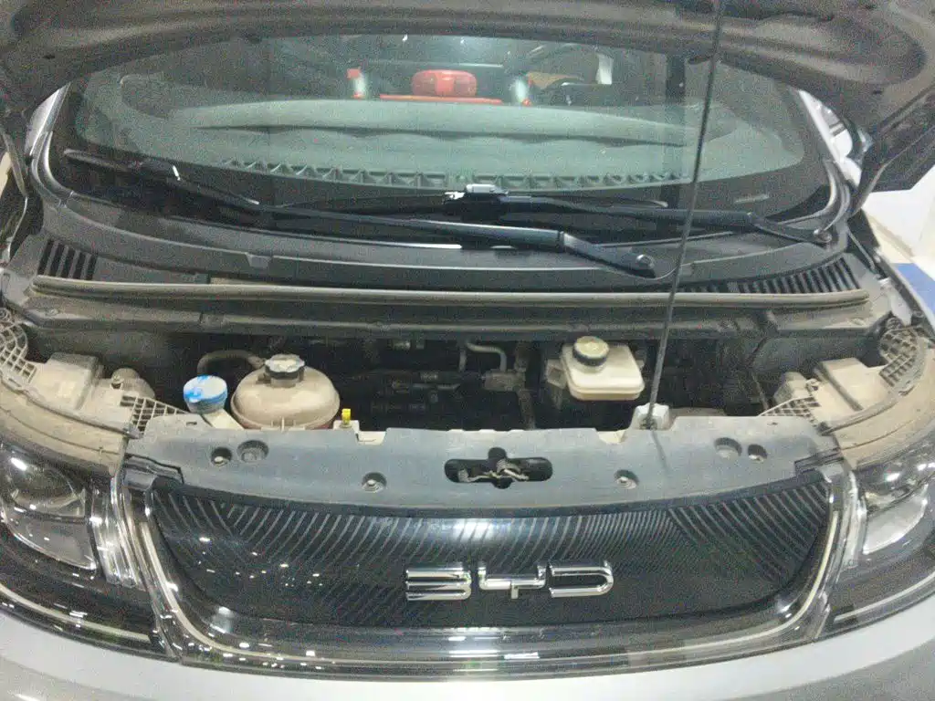Photo 21 - BYD Dolphin