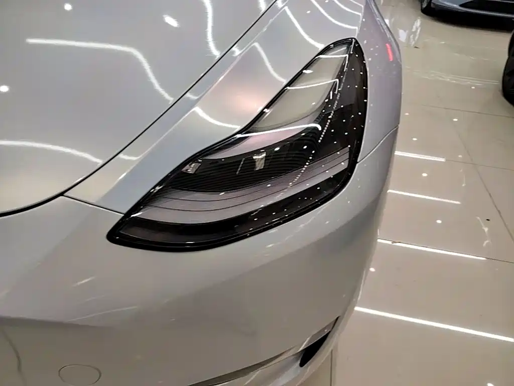 Tesla Model Y 2021 2021 Long Range All-Wheel Drive 3D7