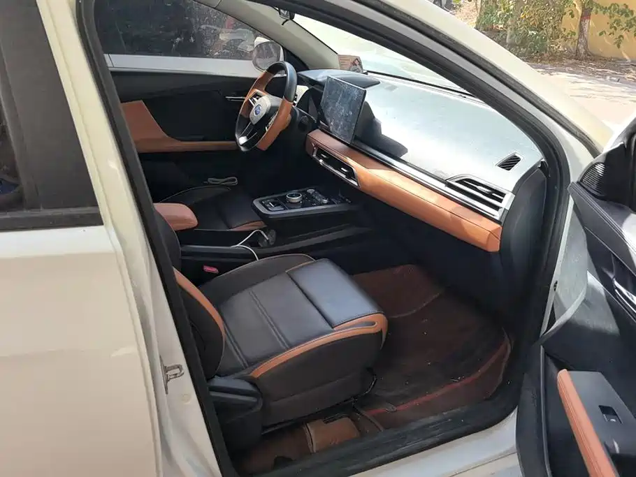 BYD e2 2022 2021 Luxury Edition