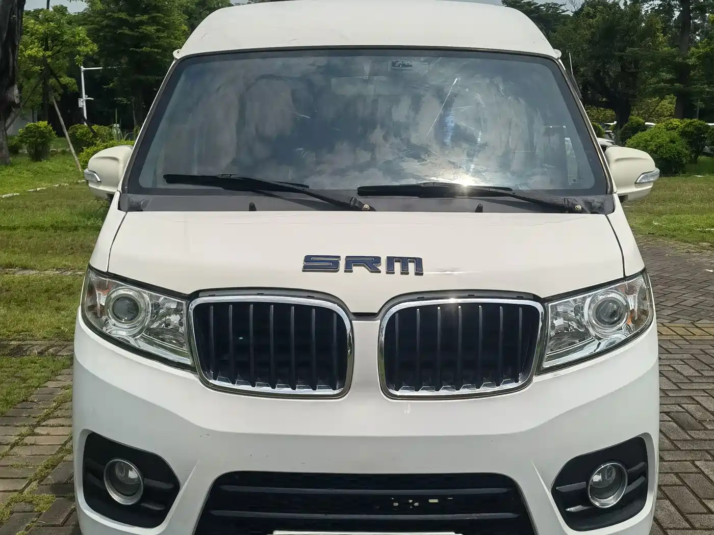 SRM Xinyuan New Energy Little Sea Lion EV 2021 2021 Standard