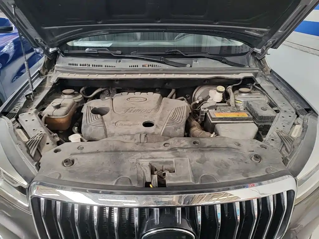 SWM Motor SWM G05 2020 2019 1.5T Automatic Elite Model