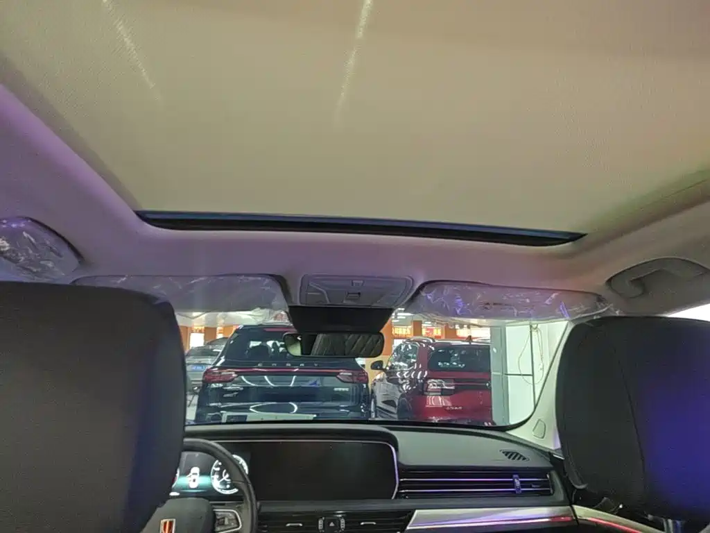 Hongqi HS5 2020 2019 2.0T Smart Connect Enjoy Edition