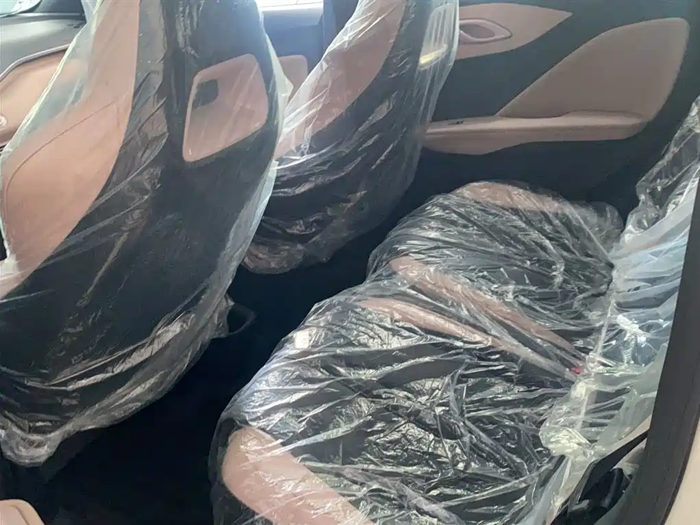 BYD Seagull 2026 2025 Smart Drive Edition 305km Vitality Version