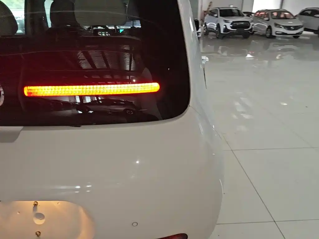 Ora White Cat 2021 2020 305km Luxury