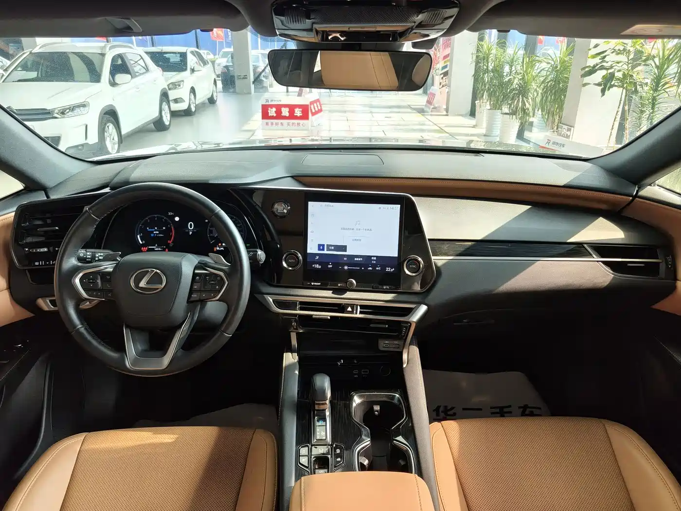 Photo 10 - Lexus RX