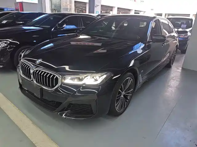 BMW 5 2-й рестайлинг, 530Li, Лидер, M Спорт-пакет