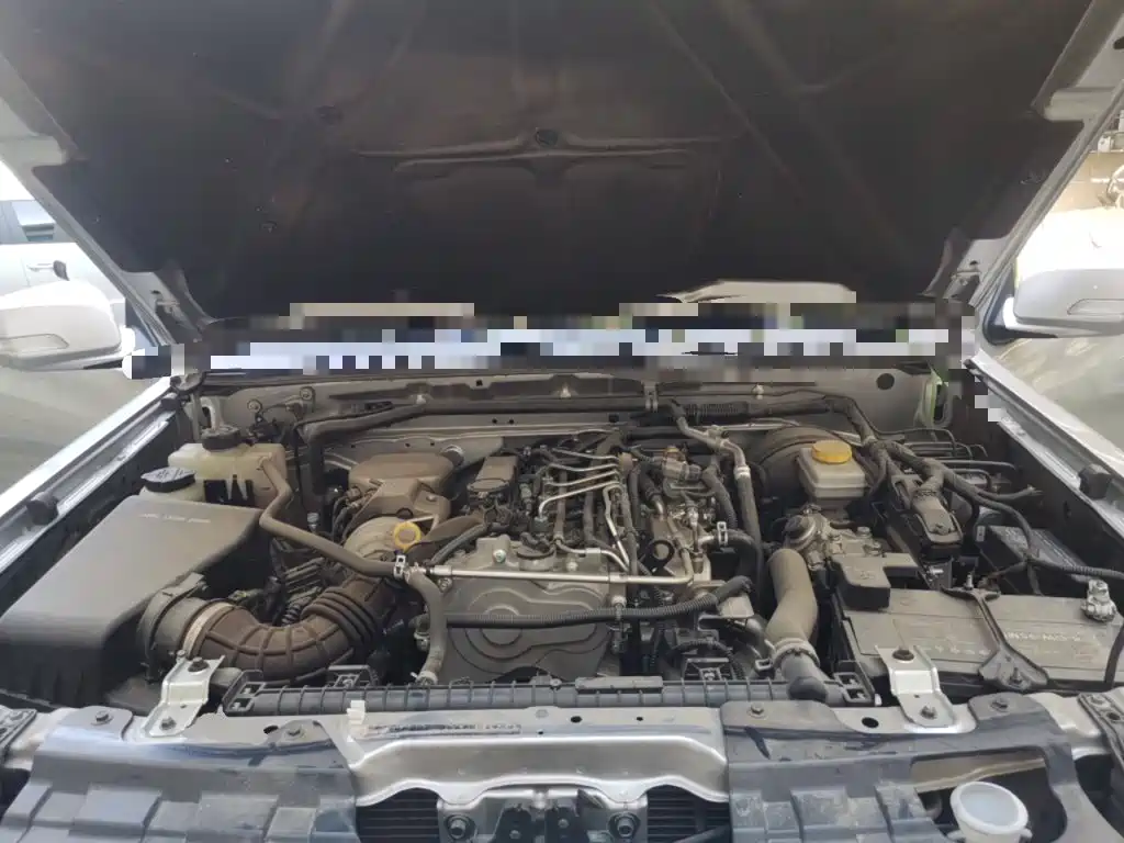 Dongfeng Ruiqi 2024 2023 2.4T Diesel 2WD Startup Long Cargo Box YCY24165-61