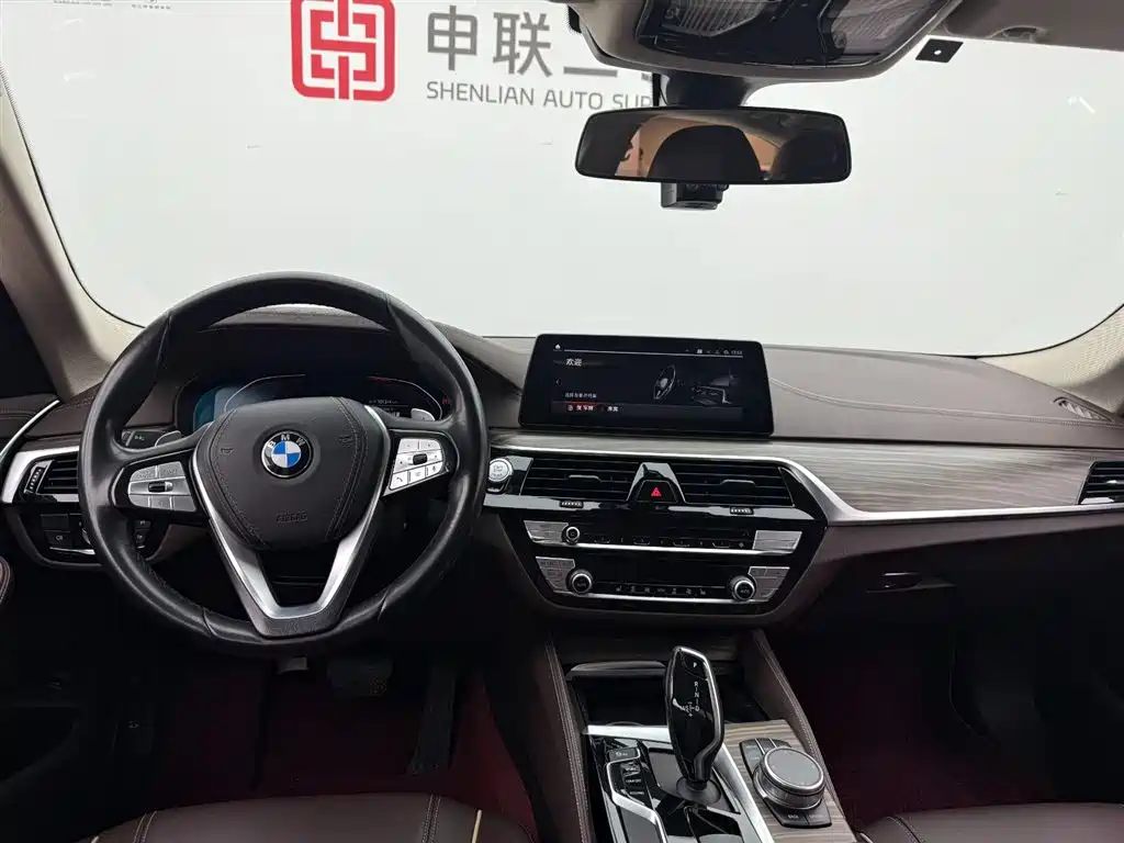 BMW 5 Series 2020 530Li Leading Luxury Package фото 12