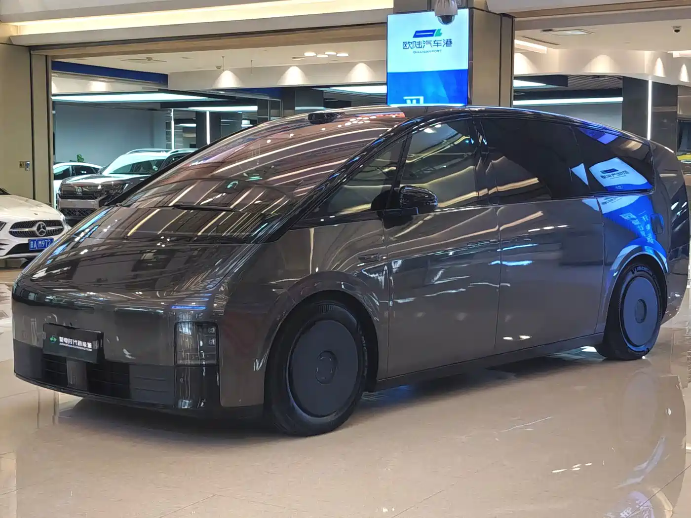 Li Auto MEGA 2025 2025 Model Home Family Special Edition