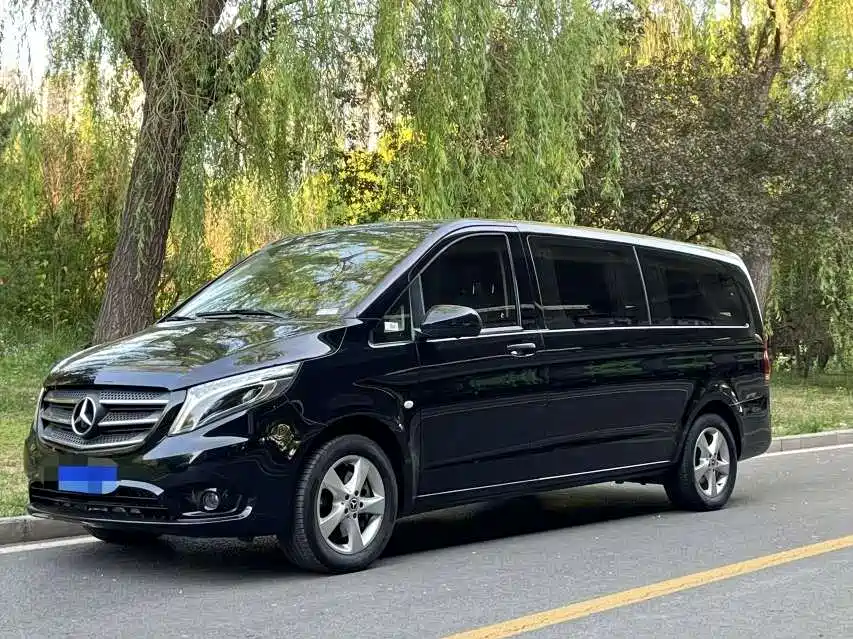 Mercedes-Benz Vito 2018 2.0T Business Edition China VI