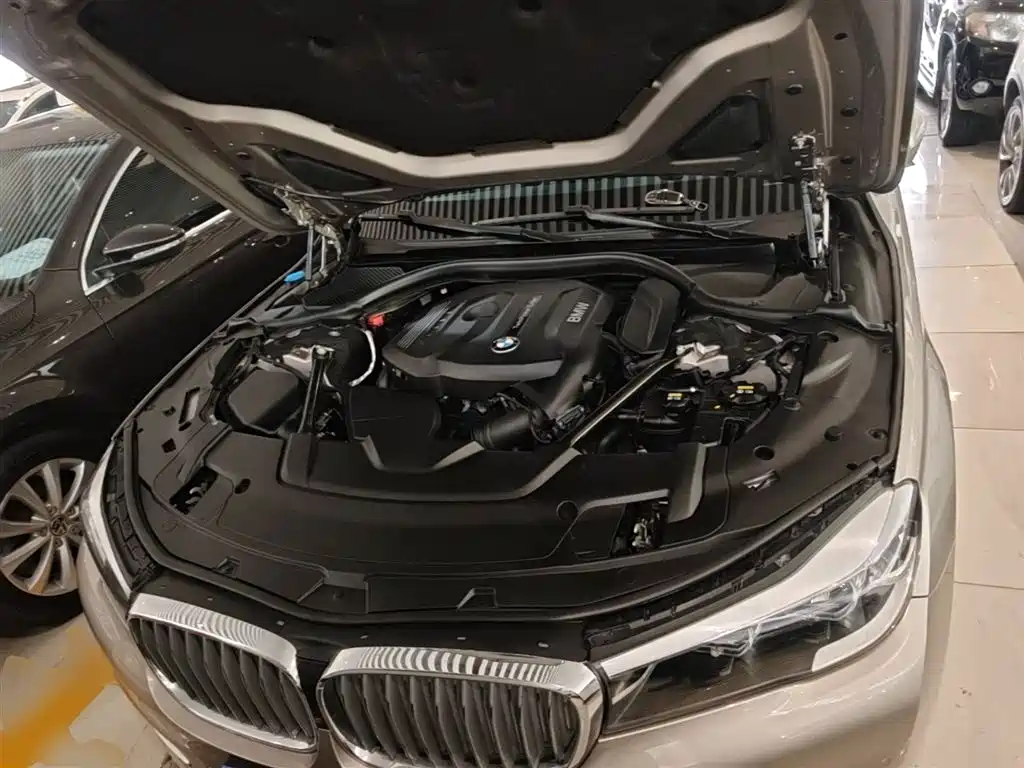 BMW 7 Series 2018 730Li Leading Type Excellence Package фото 20