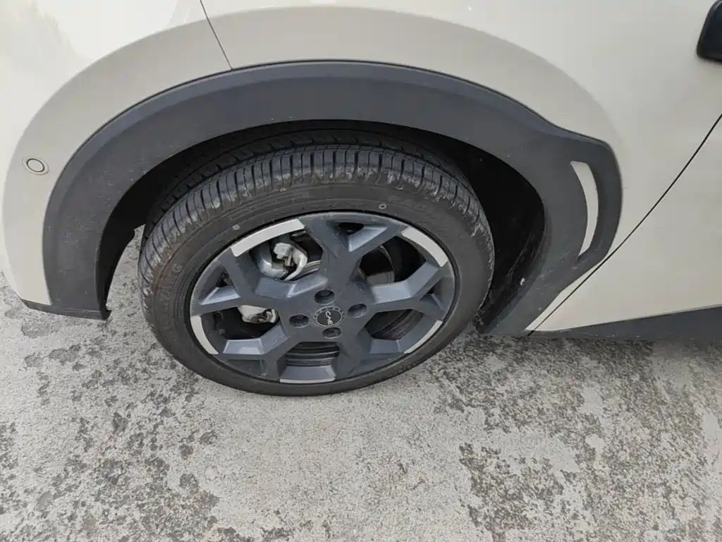 BYD Seagull 2026 2025 305km Vitality