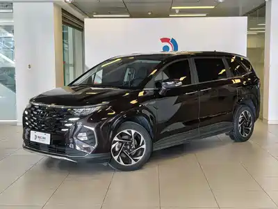 Hyundai Custo