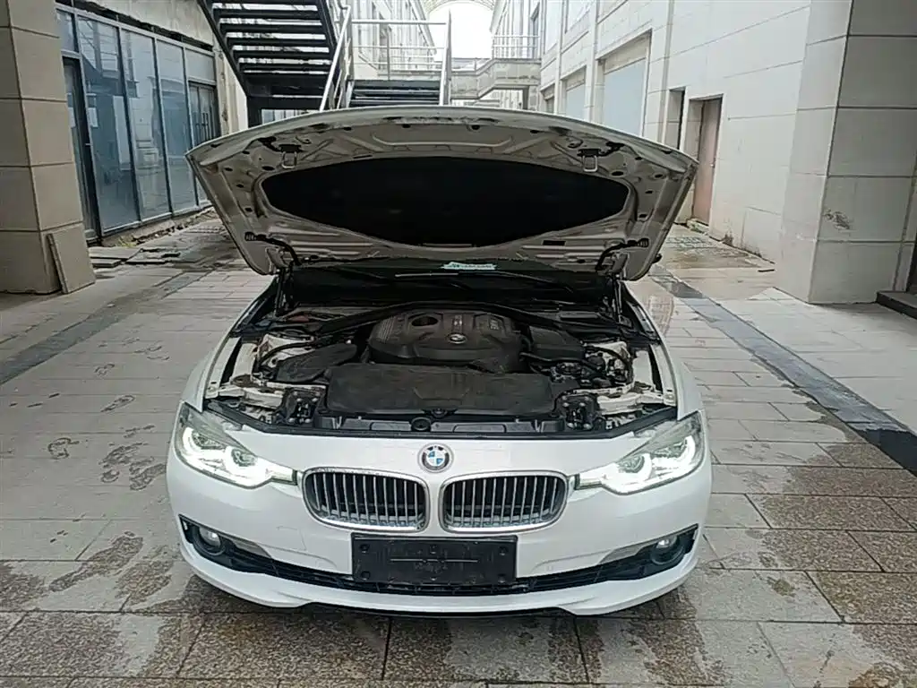 BMW 3 Series 2018 320Li Fashion Style фото 20