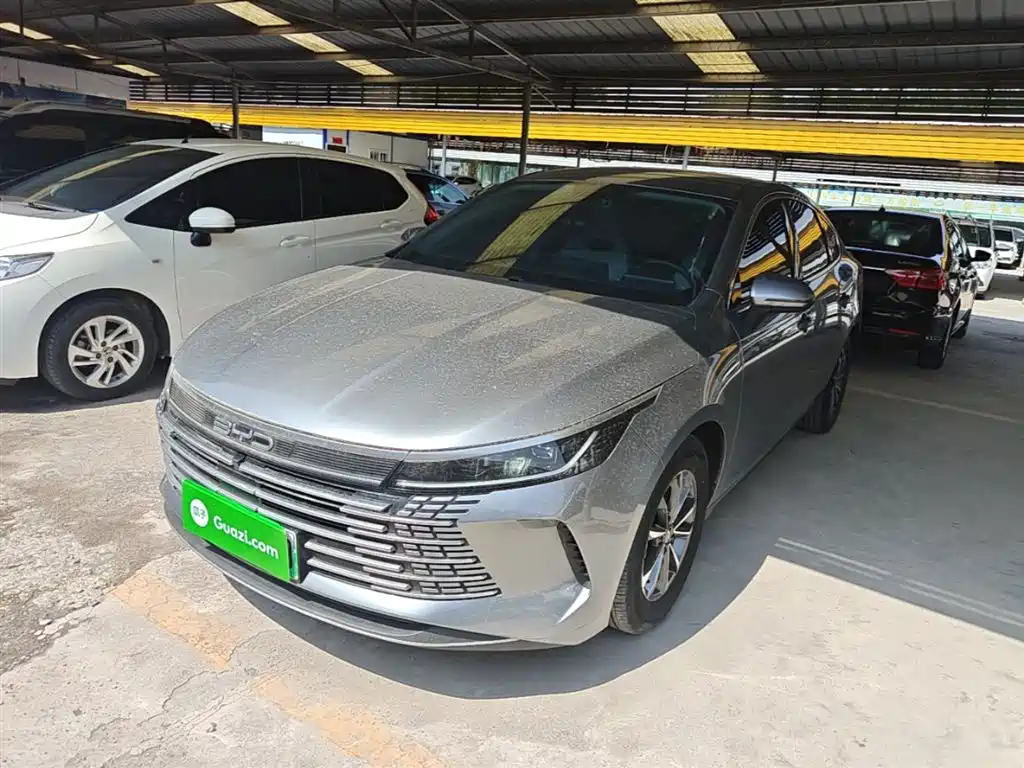 BYD Destroyer 05 2024 Glory Edition DM-i 55KM Luxury