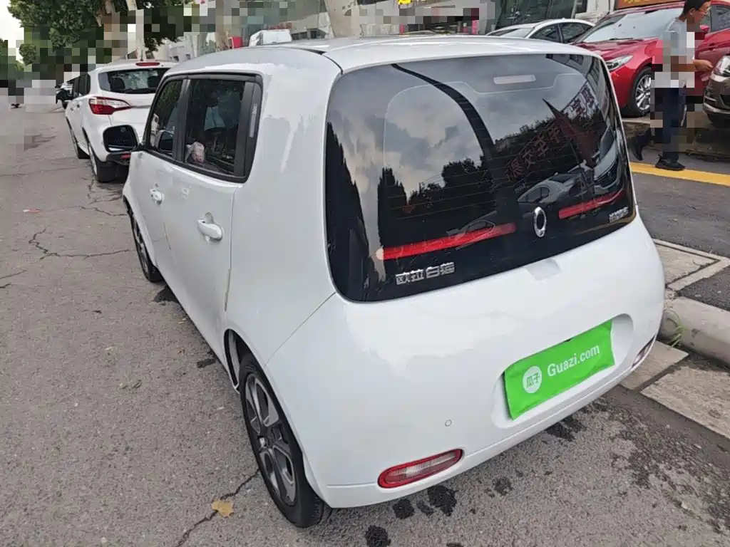 Ora White Cat 2021 2020 305km Luxury