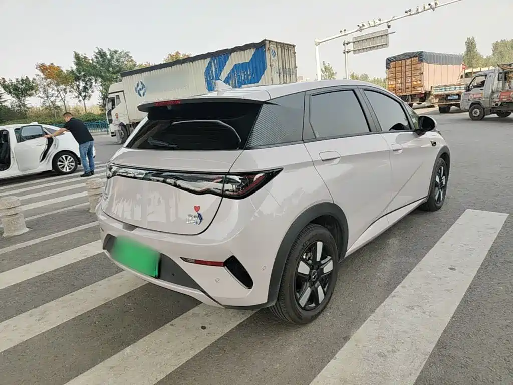 BYD Dolphin 2026 2025 Smart Drive Edition 410km Fashion Version