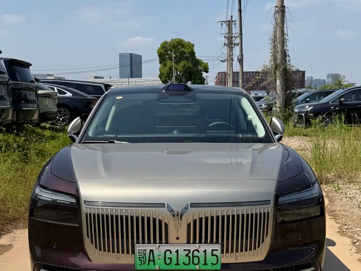Voyah Auto VOYAH Zhuiguang L 2025 2025 Mid-configuration Model
