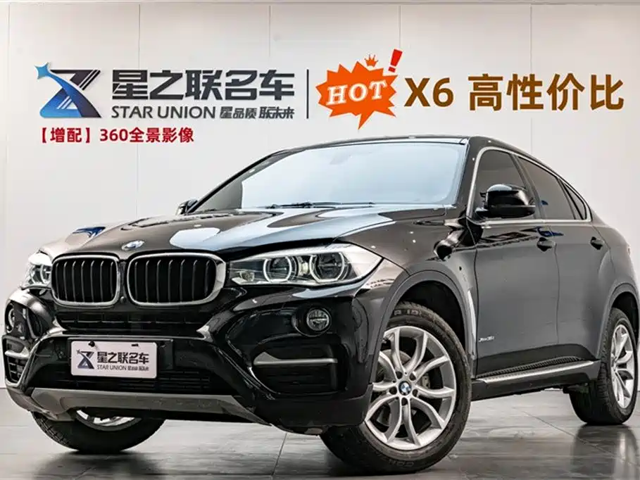 BMW X6 2015 xDrive35i Leading Type