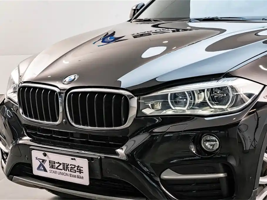BMW X6 2015 xDrive35i Leading Type фото 4