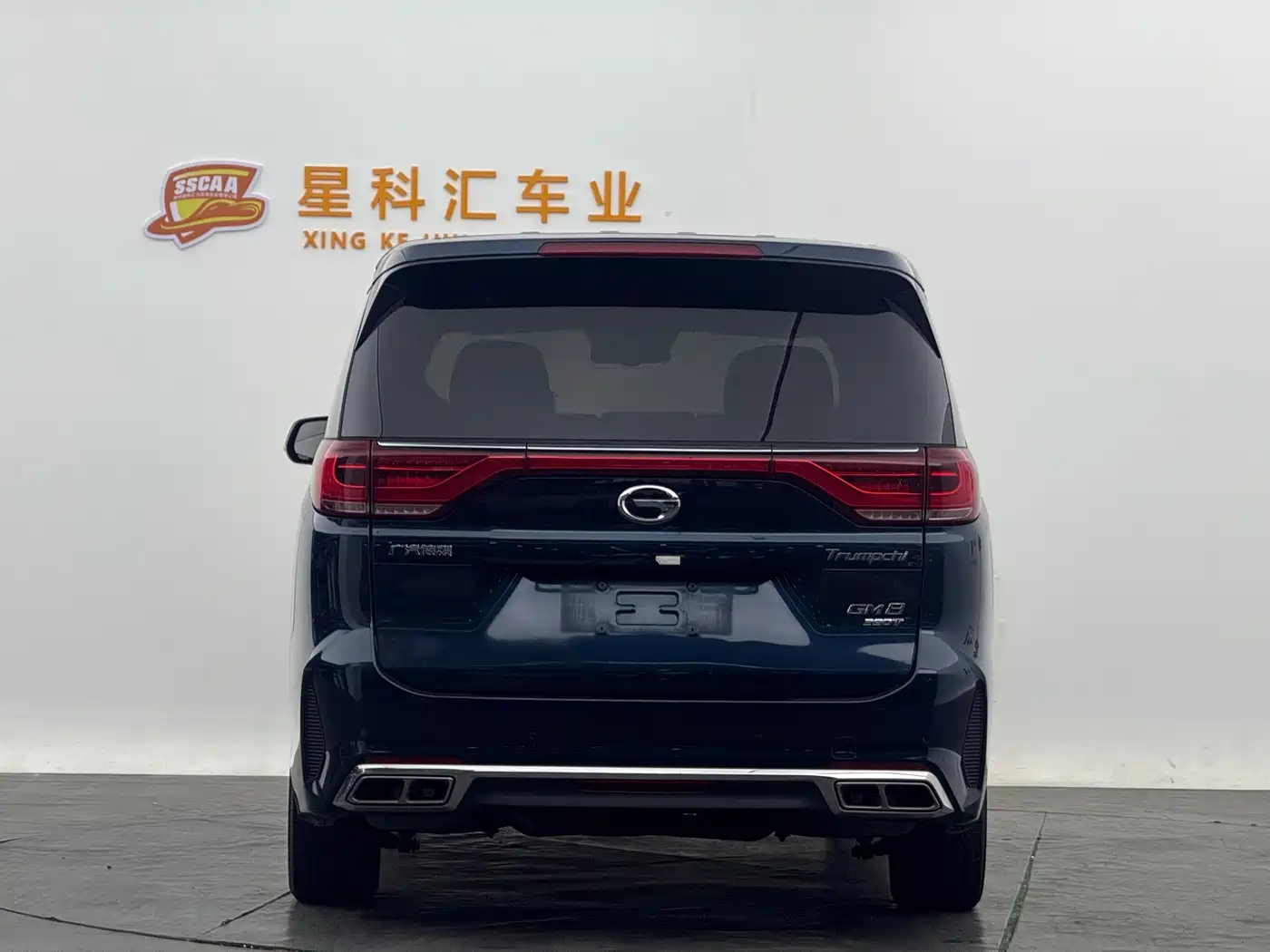 GAC Trumpchi Trumpchi M8 2020 Pilot 390T Prestige Edition фото 12