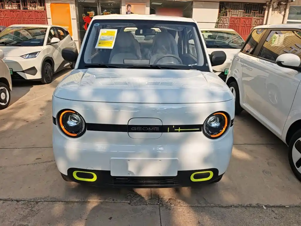 Geely Galaxy Panda 2026 2025 Panda mini 210km Vitality Bear
