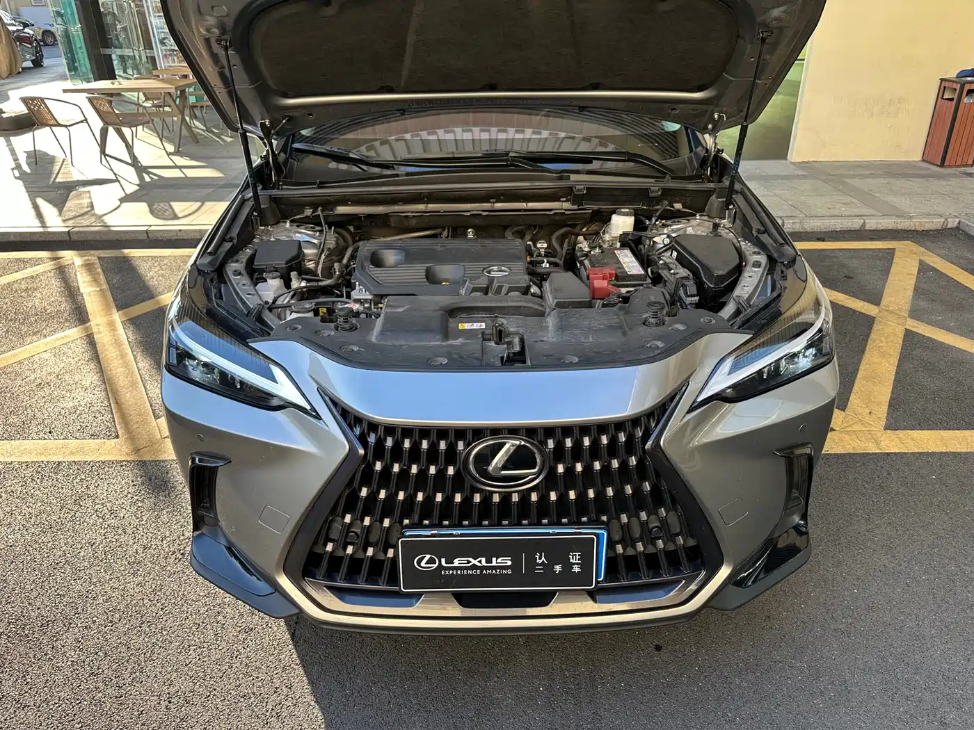 LEXUS NX