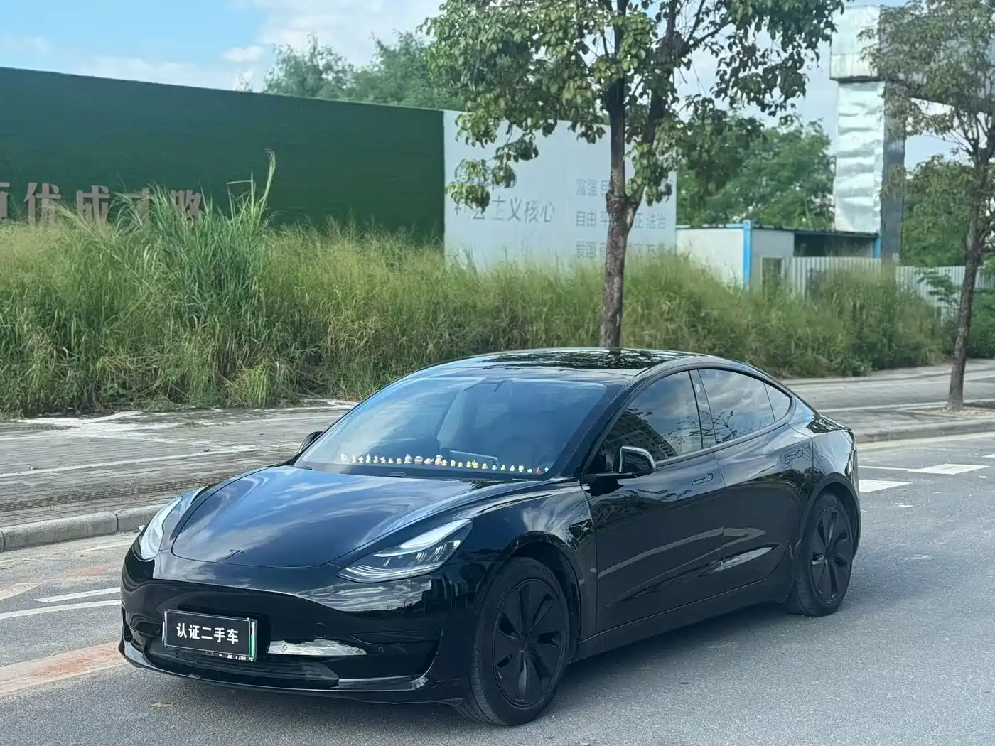 Tesla Model 3 2020 2020 Standard Range Rear-Wheel Drive Upgrade