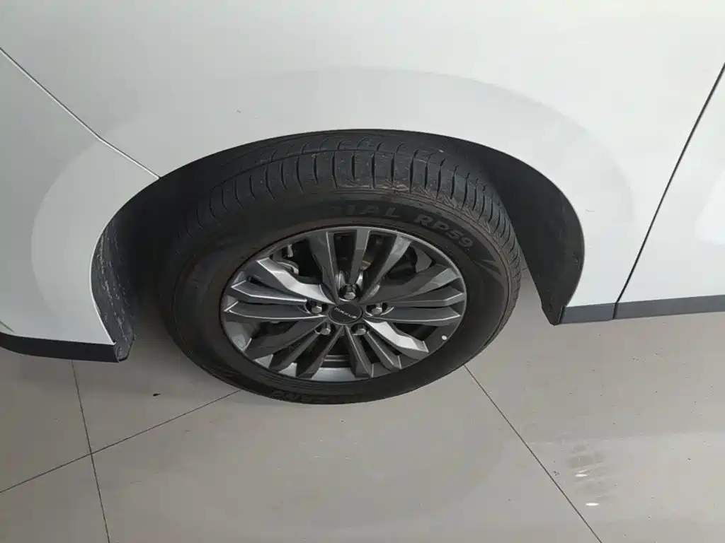 Фото 25 - Maxus Maxus G50