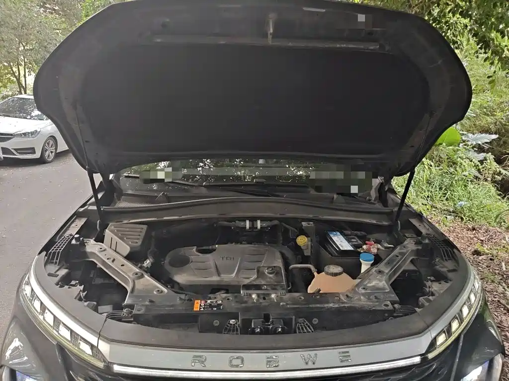 Фото 16 - Roewe RX5 MAX