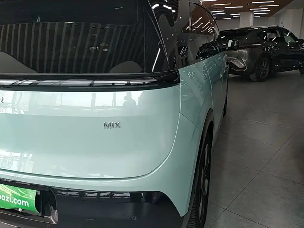 ZEEKR MIX 2026 2025 Smart Driving Edition