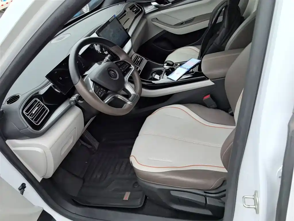 BYD Qin PLUS 2024 Glory Edition EV 420KM Leading фото 15