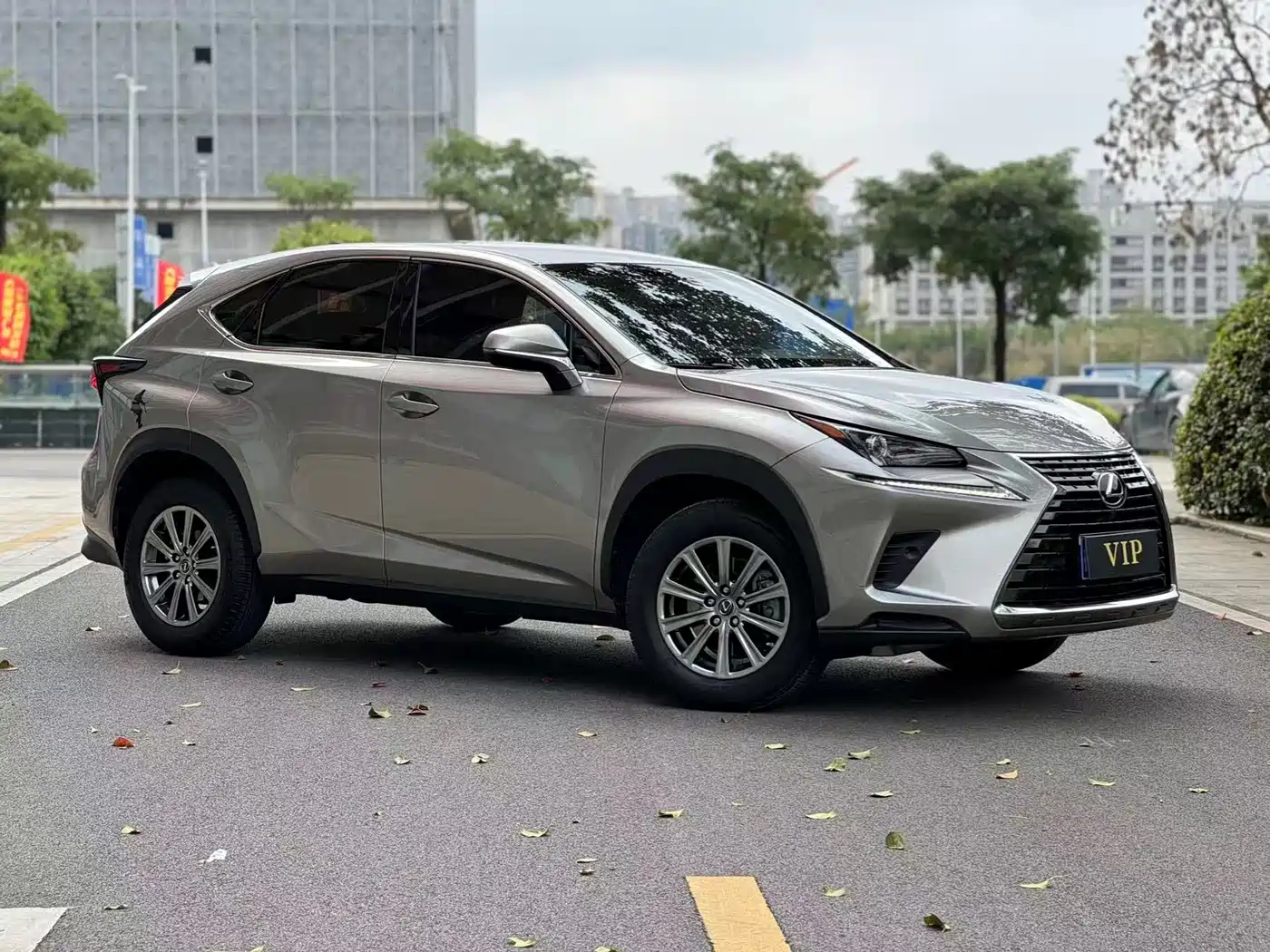 Lexus NX 2018 Model 300 FWD Fengxing Edition фото 3
