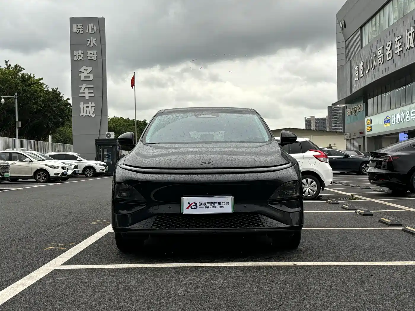 XPeng G6 2025 2025 625 Long Range Max Tech Edition