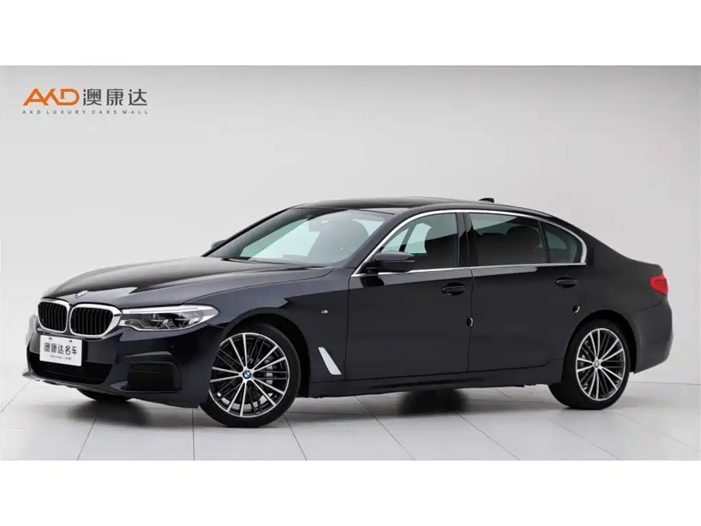 BMW 5 Series 2020 530Li Exclusive M Sport Package