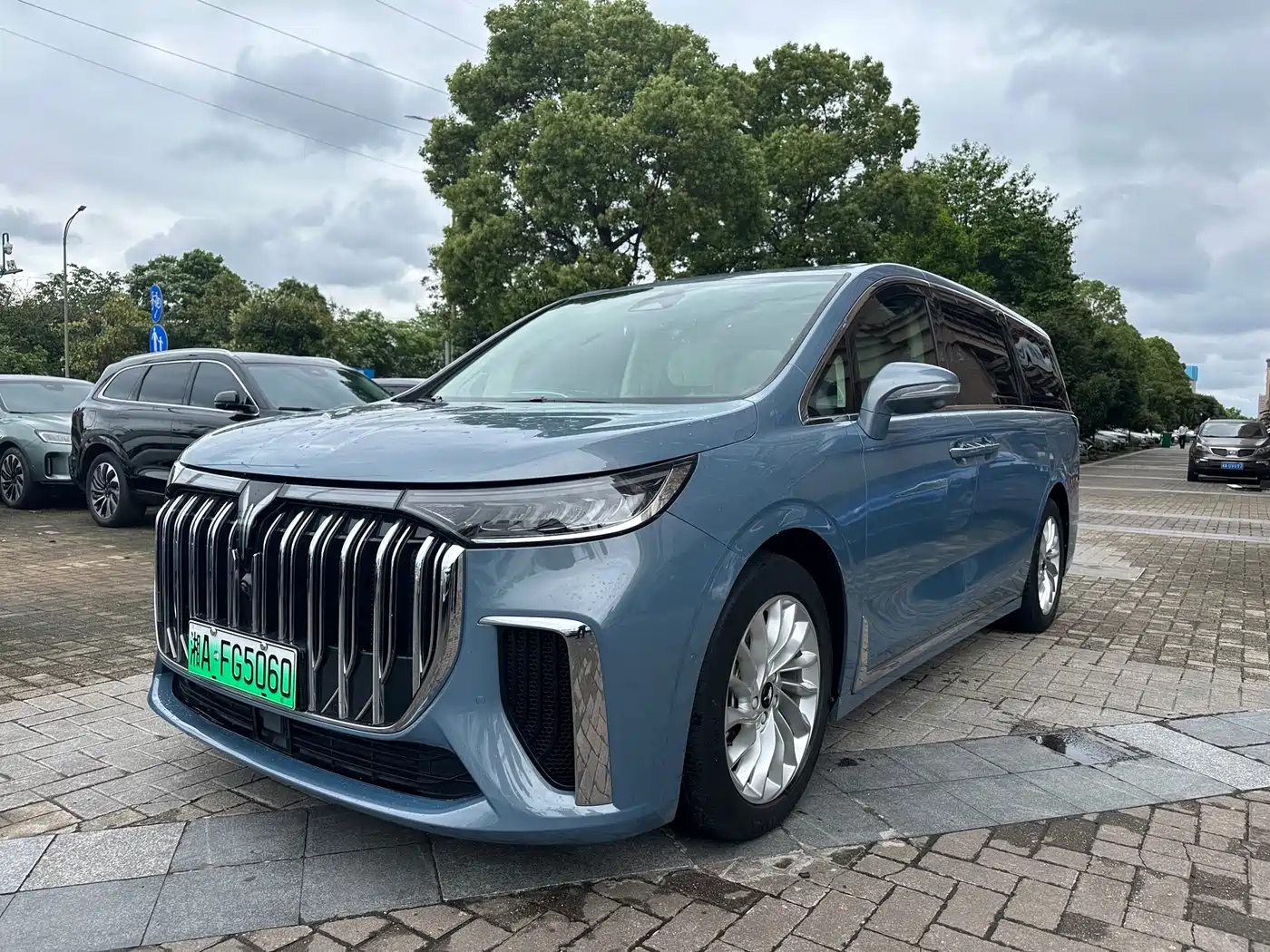Voyah Auto Voyah Dreamer 2022 Low-carbon Edition Think+Smart Driving Package