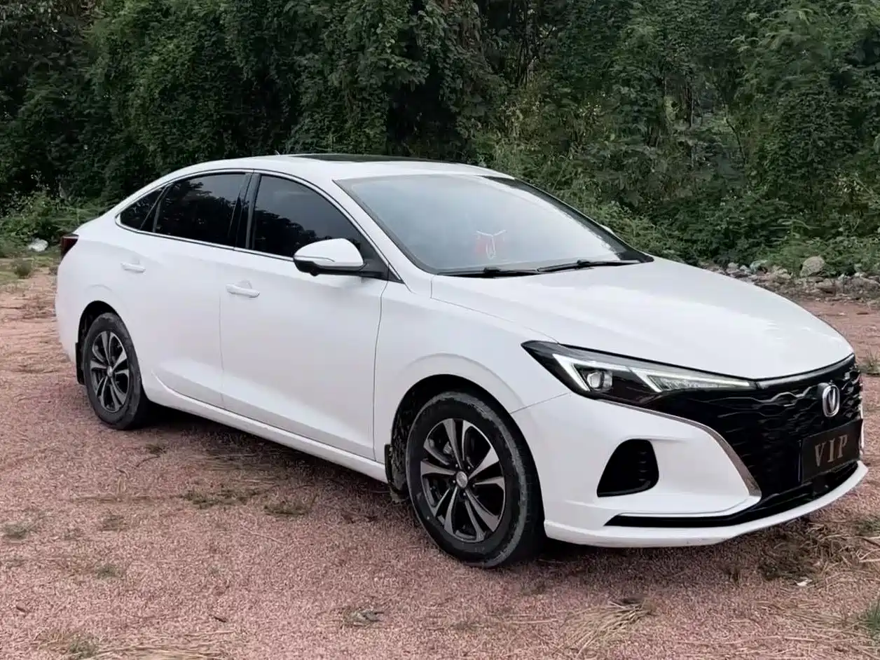 Фото 3 - Changan Eado