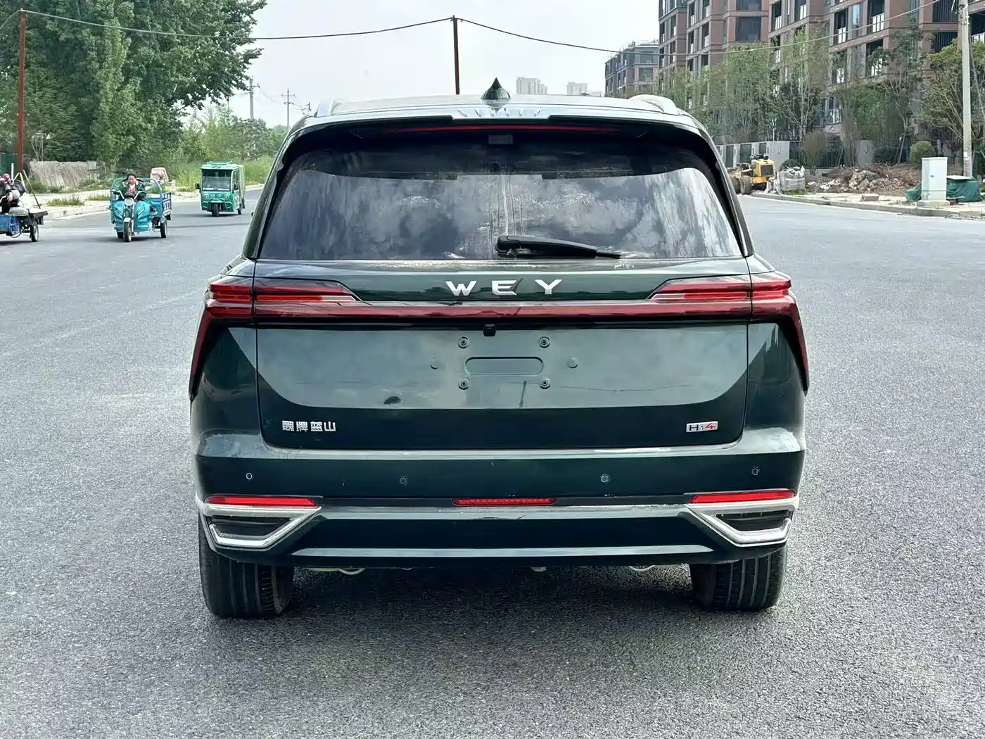 WEI PAI WEI BRAND BLUE MOUNTAIN