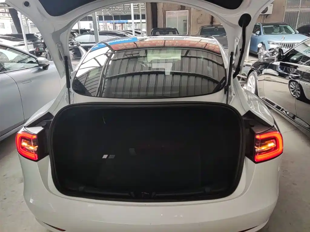 Tesla Model 3 2020 2020 Standard Range Rear-Wheel Drive Upgrade