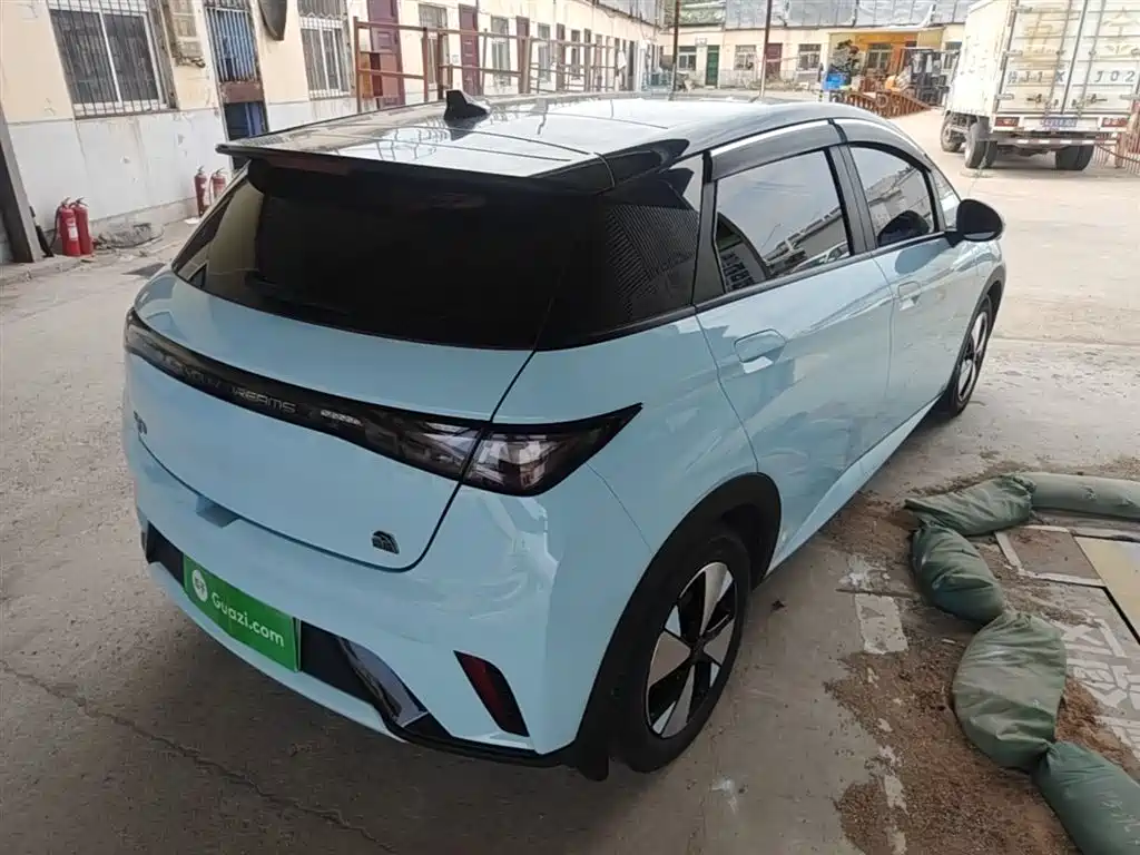 BYD Dolphin 2023 420km Fashion Edition фото 7