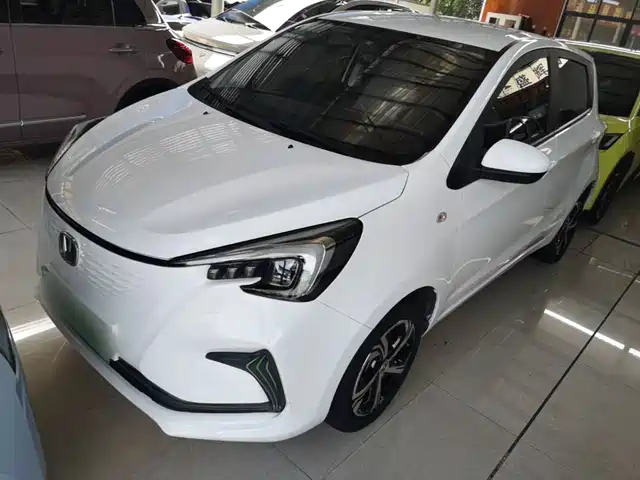  Changan Changan Benben E-Star 2020 Heartbeat Edition (NMC Battery)