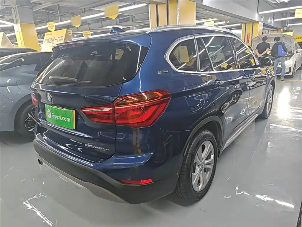 BMW X1 New Energy 2019 xDrive25Le Range Upgrade Edition фото 7