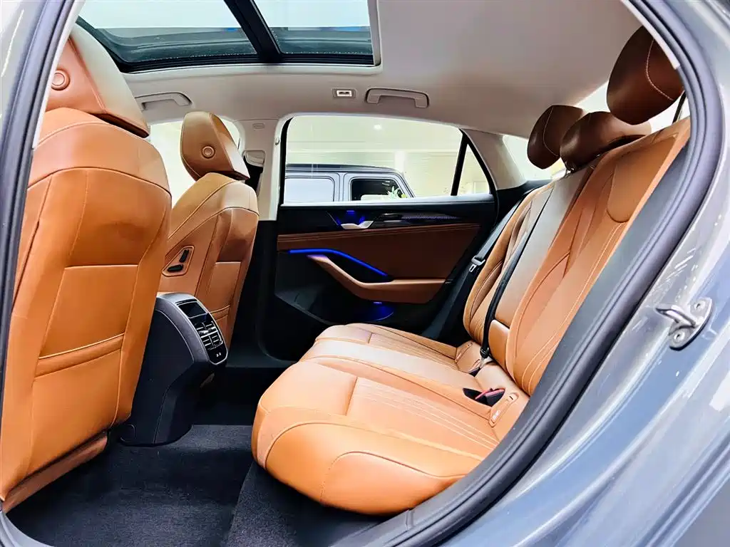 Volkswagen Magotan 2024 300TSI DSG Premium Edition (Eye-catching Package) фото 16